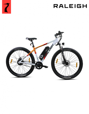 raleigh electric skarn single speed bike